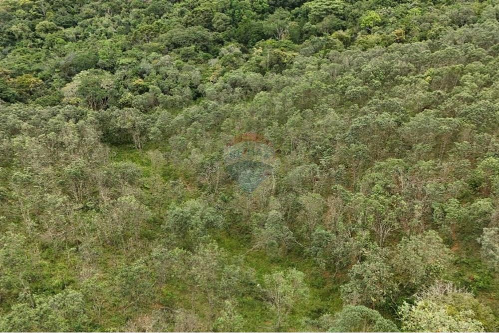 Terreno - Venda - Liberdade , Minas Gerais - sitio giffa 6.jpg - 860271009-18