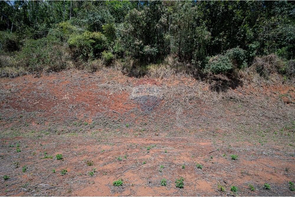 Terreno - Venda - Juiz de Fora , Minas Gerais - michaelseed photo_s3-192.jpg - 860211077-205