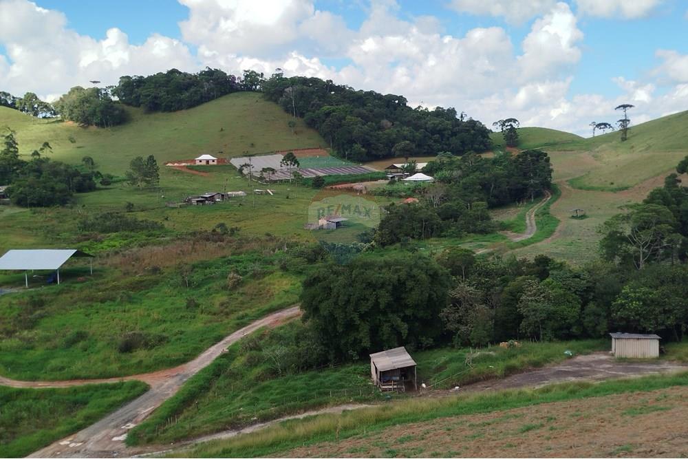 Fazenda - Venda - Barbacena , Minas Gerais - IMG_20250402_144233.jpg - 860391012-32