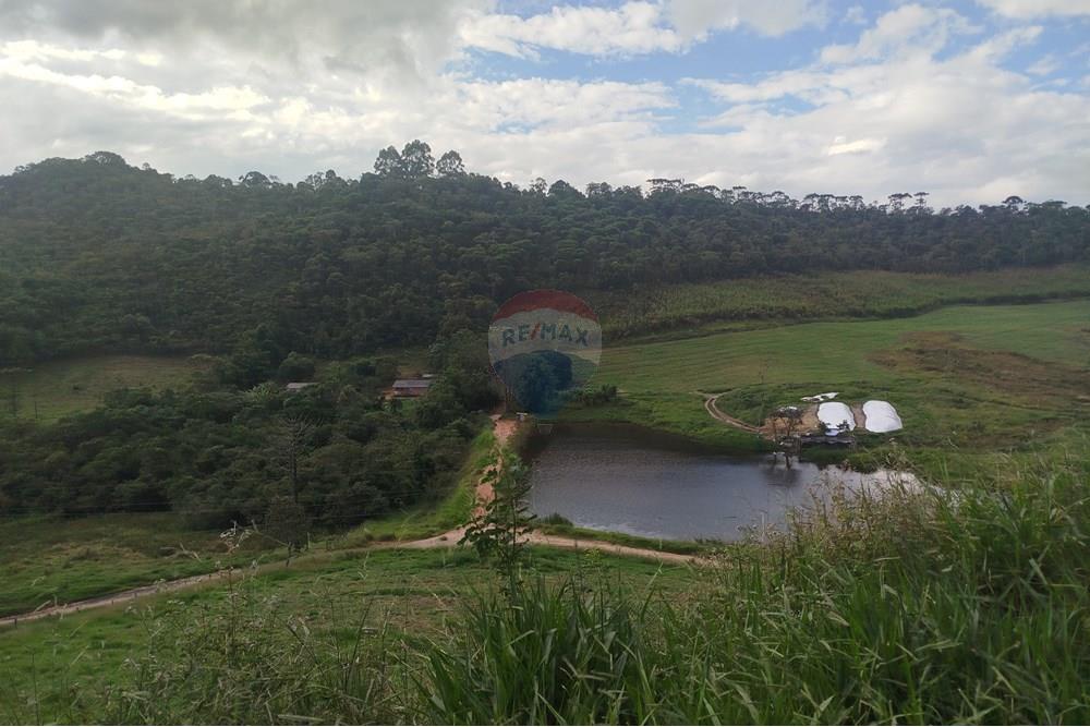 Fazenda - Venda - Barbacena , Minas Gerais - IMG_20250421_152709.jpg - 860391012-32