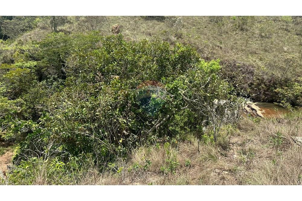 Chácara / Sítio / Fazenda - Venda - Santa Rita do Ibitipoca , Minas Gerais - 8caf90db-87fe-4b25-8357-76dbee4d2b3c.JPG - 860291033-67