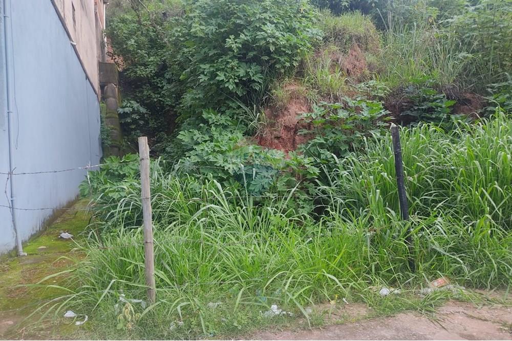 Terreno - Venda - Juiz de Fora , Minas Gerais - WhatsApp Image 2024-11-19 at 18.17.43.jpeg - 860301018-291