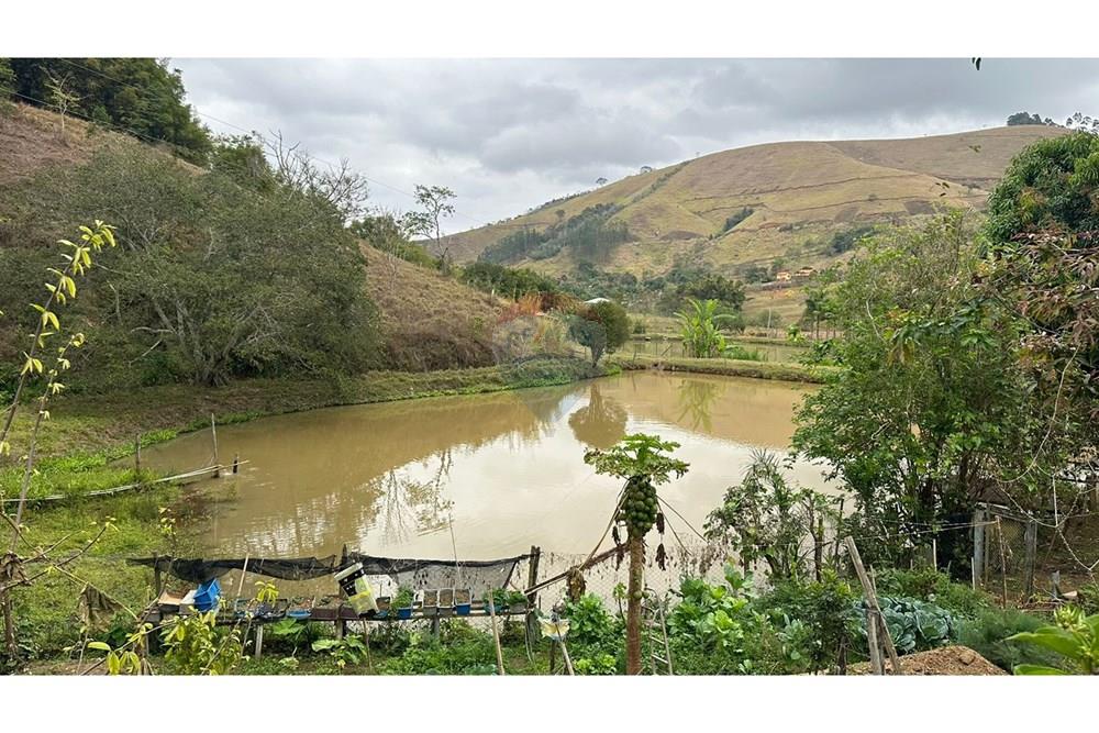 Chácara / Sítio / Fazenda - Venda - Juiz de Fora , Minas Gerais - WhatsApp Image 2025-02-12 at 18.14.53 (2).jpeg - 860291033-75