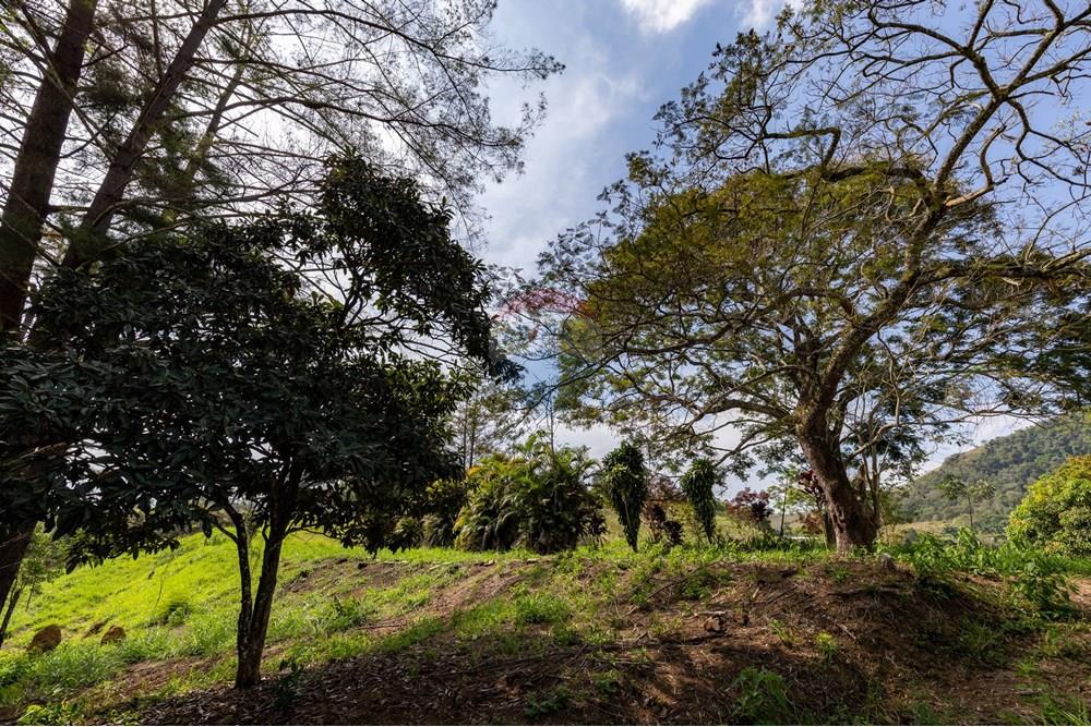 Terreno - Venda - Matias Barbosa , Minas Gerais - Campana-26.jpg - 860281009-136