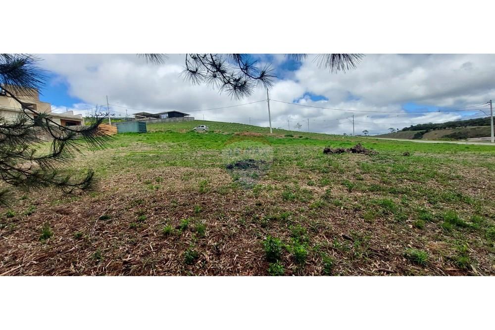 Terreno - Venda - Juiz de Fora , Minas Gerais - WhatsApp Image 2024-11-12 at 13.58.35 (3).jpeg - 860211123-5