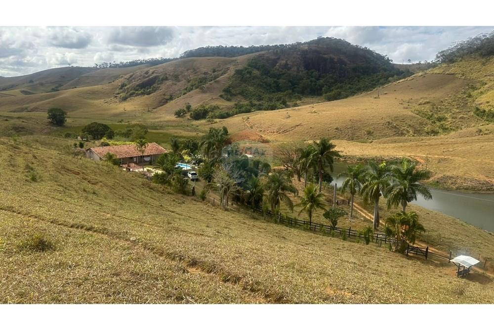 Chácara / Sítio / Fazenda - Venda - Leopoldina , Minas Gerais - WhatsApp Image 2025-09-22 at 10.32.51.jpeg - 860291033-118