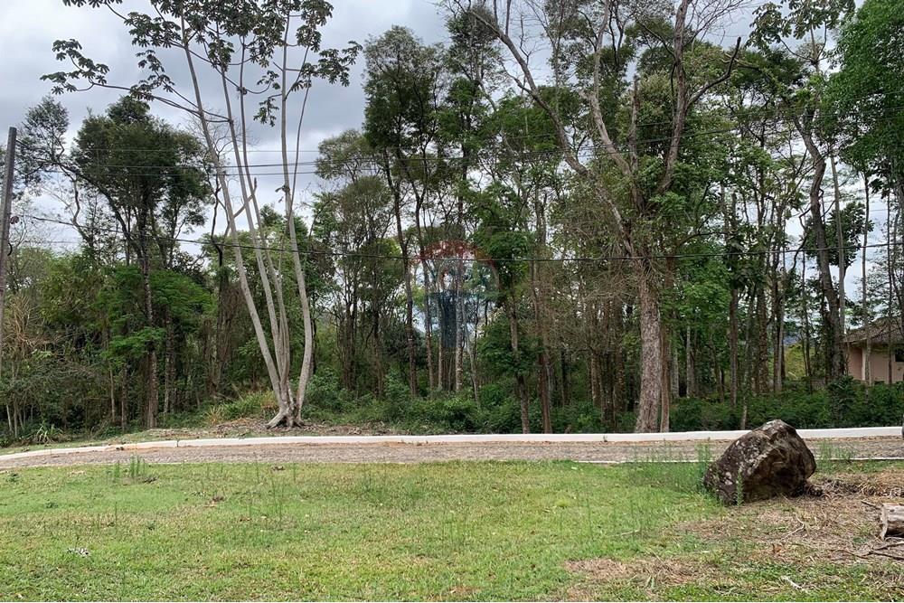 Terreno - Venda - Juiz de Fora , Minas Gerais - D Sebastiana.jpg - 860271016-6