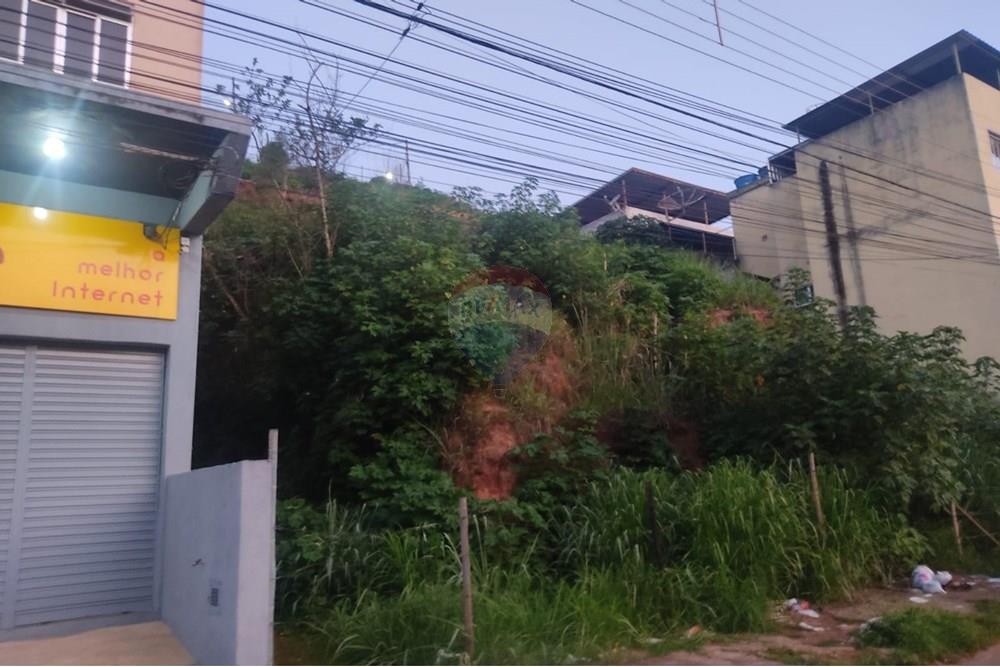 Terreno - Venda - Juiz de Fora , Minas Gerais - WhatsApp Image 2024-11-19 at 18.17.40 (3).jpeg - 860301018-291