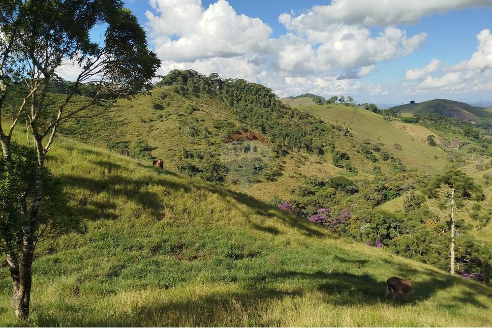 Fazenda - Venda - Barbacena , Minas Gerais - IMG_20250402_150058.jpg - 860391012-32