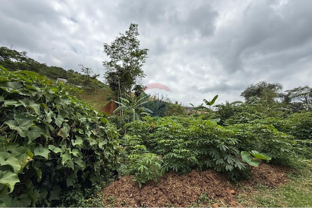 Terreno - Venda - Juiz de Fora , Minas Gerais - IMG-20250502-WA0026.jpg - 860271007-42