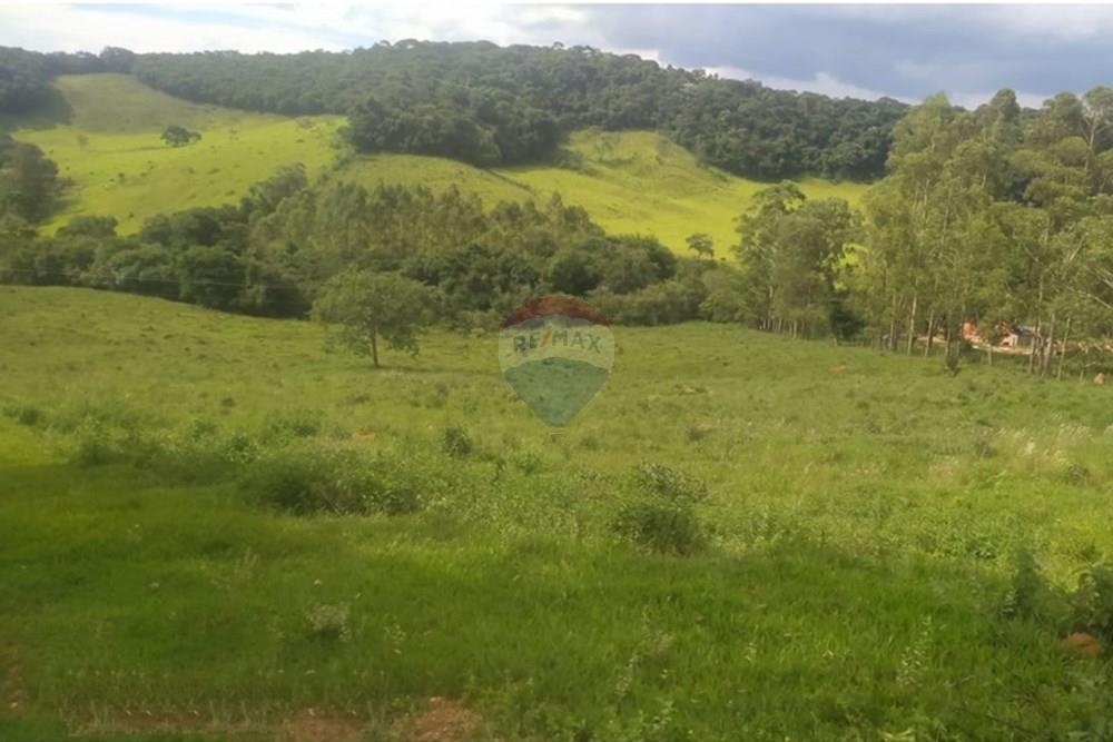 Chácara / Sítio / Fazenda - Venda - Queluzito , Minas Gerais - WhatsApp Image 2025-01-08 at 06.40.40 (2).jpeg - 860421002-442