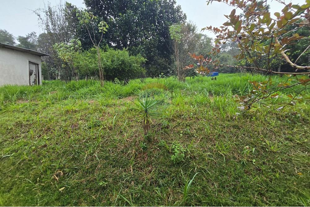 Chácara / Sítio / Fazenda - Venda - Juiz de Fora , Minas Gerais - 42.jpg - 860231001-221