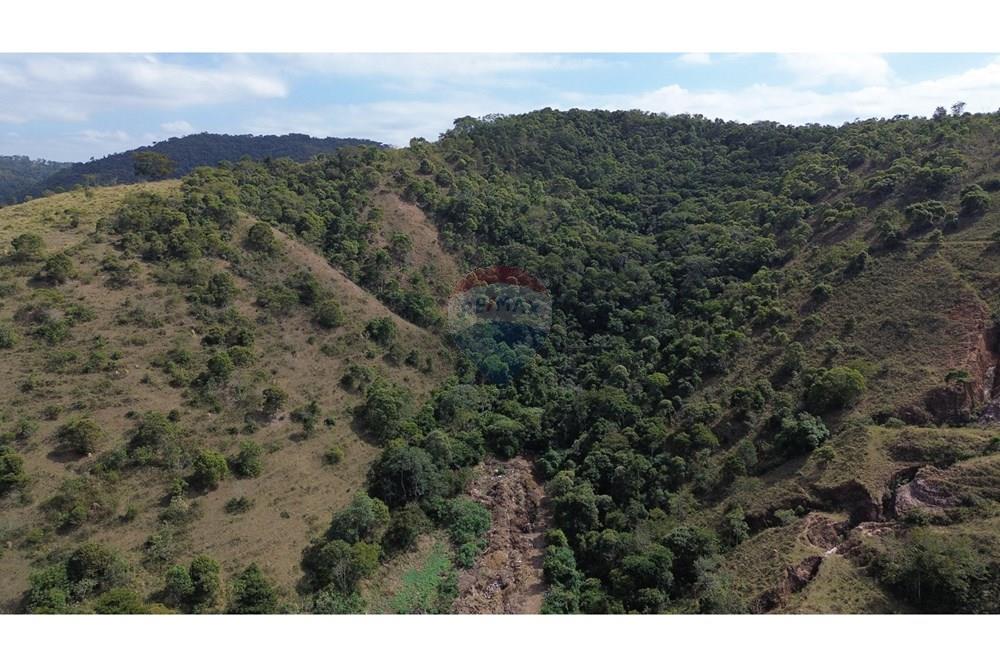 Terreno - Venda - Juiz de Fora , Minas Gerais - c187e666-31a4-48f1-a17d-aa62401c4c63.JPG - 860291041-5