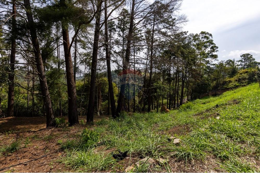 Terreno - Venda - Matias Barbosa , Minas Gerais - Campana-23.jpg - 860281009-136