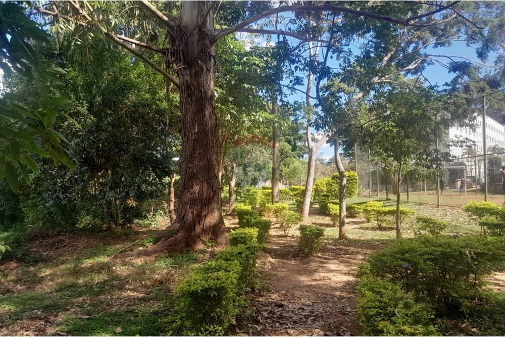 Apartamento - Venda - Juiz de Fora , Minas Gerais - WhatsApp Image 2025-03-18 at 11.55.06.jpeg - Área Gourmet - 860381043-101