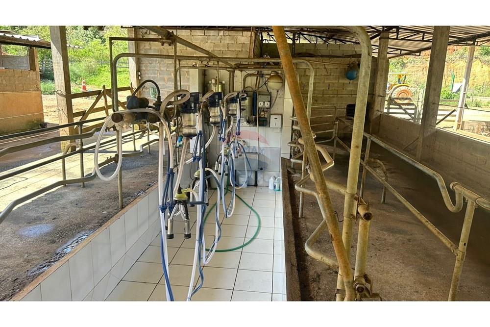 Chácara / Sítio / Fazenda - Venda - Juiz de Fora , Minas Gerais - 0025503c-828d-456d-a3df-03428dc9db3f.JPG - 860291033-68