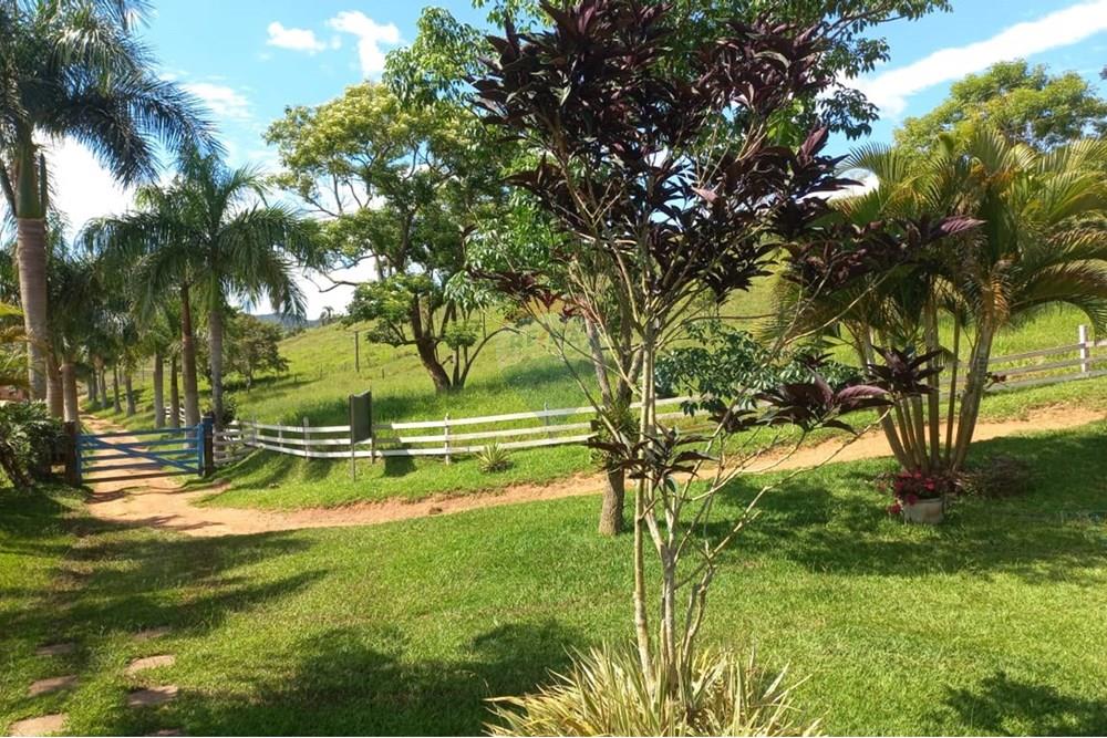 Chácara / Sítio / Fazenda - Venda - Lima Duarte , Minas Gerais - WhatsApp Image 2025-03-01 at 10.18.06(1).jpeg - 860291033-79