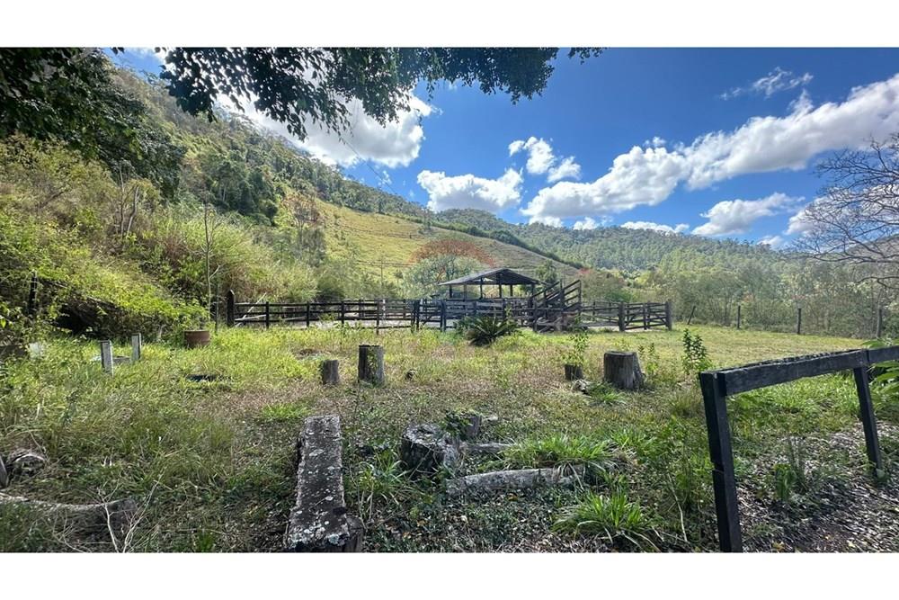 Chácara / Sítio / Fazenda - Venda - Santana do Deserto , Minas Gerais - IMG-20250926-WA0511.jpg - 860291041-20