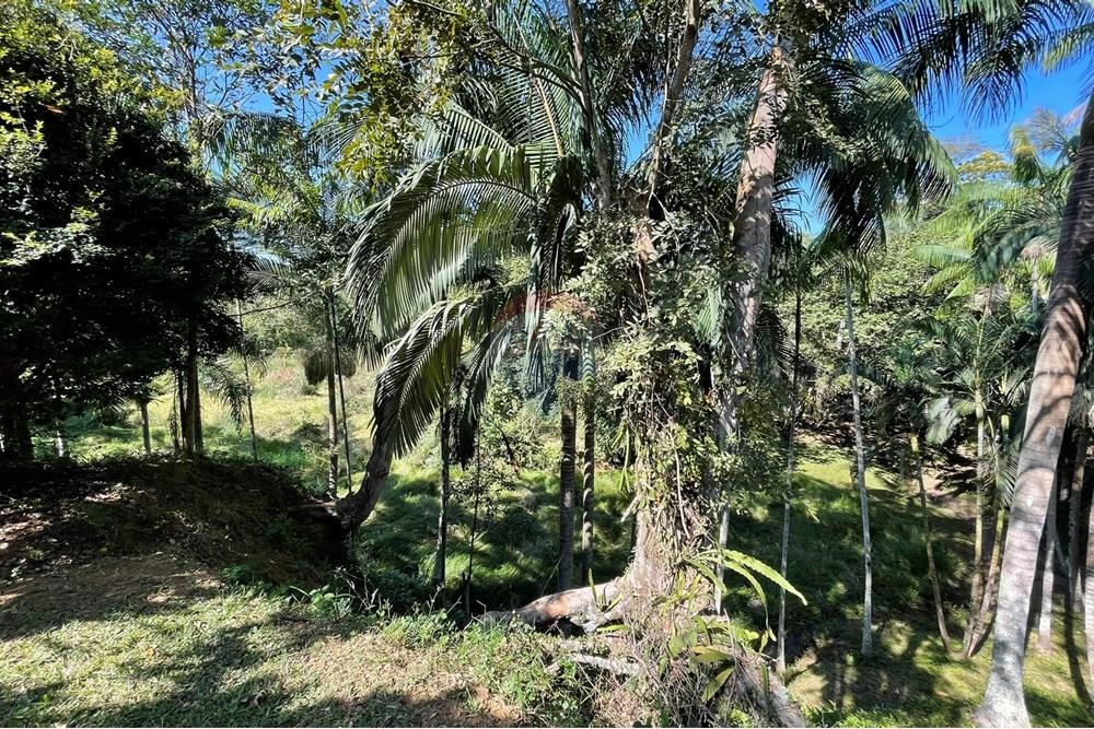 Chácara / Sítio / Fazenda - Venda - Goianá , Minas Gerais - IMG_4500.JPEG - 860301009-486