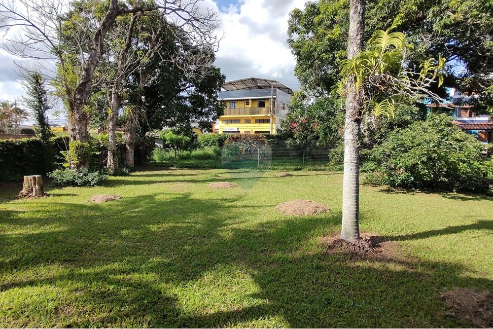 Chácara / Sítio / Fazenda - Venda - Santa Cruz de Minas , Minas Gerais - WhatsApp Image 2025-01-12 at 22.12.21.jpeg - 860391002-53