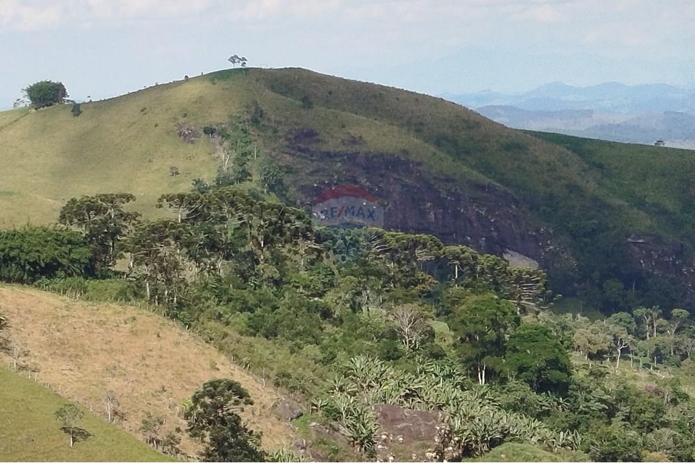 Fazenda - Venda - Barbacena , Minas Gerais - IMG_20250402_150351.jpg - 860391012-32