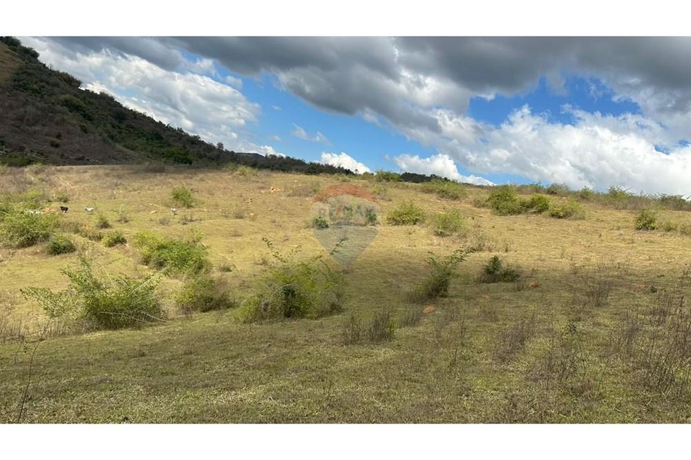 Chácara / Sítio / Fazenda - Venda - Cantagalo , Rio de Janeiro - 4fa20b92-1e43-4c60-b10d-94de318a1309.JPG - 860291041-3