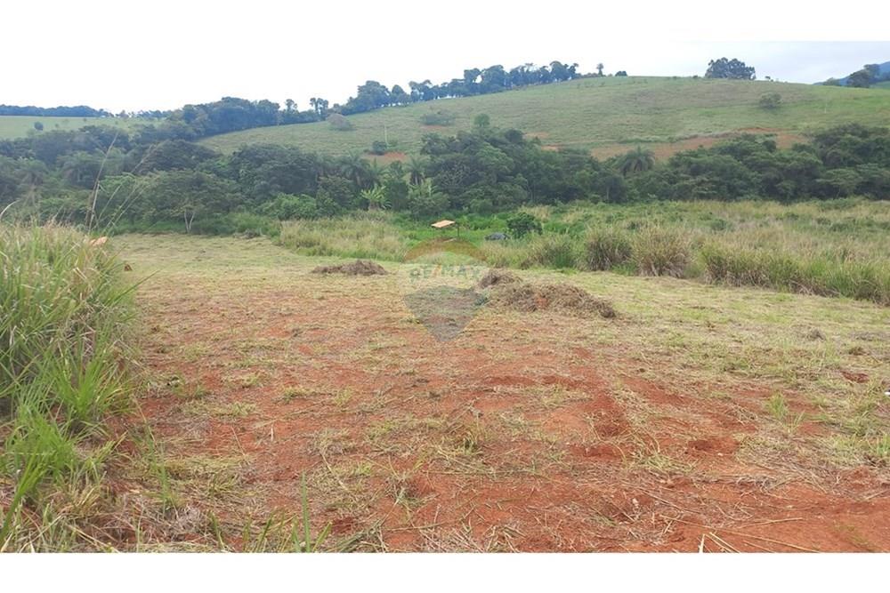 Chácara / Sítio / Fazenda - Venda - Casa Grande , Minas Gerais - WhatsApp Image 2024-11-05 at 12.30.07.jpeg - 860421029-67