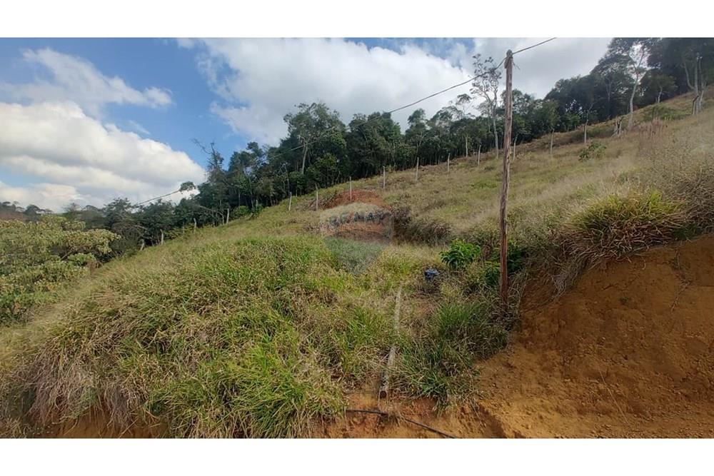 Terreno - Venda - Juiz de Fora , Minas Gerais - 4d2e2fd2-cf01-41fc-be49-836351d910db.JPG - 860291041-14