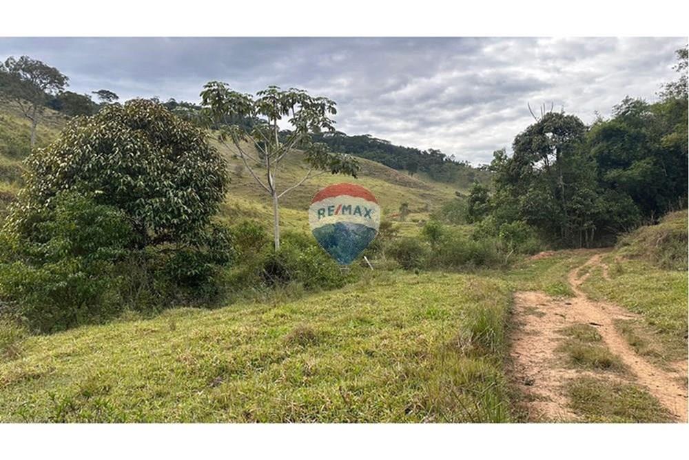 Chácara / Sítio / Fazenda - Venda - Lamim , Minas Gerais - L_9b534192-c083-43bf-b79a-65583c7ac752.jpg - 860291033-115