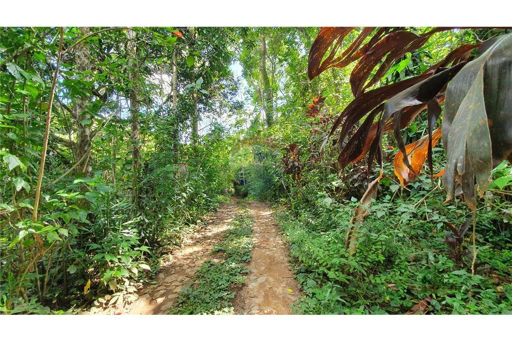 Terreno - Venda - Juiz de Fora , Minas Gerais - 6 - 860231021-231