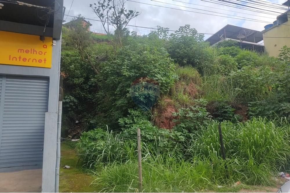 Terreno - Venda - Juiz de Fora , Minas Gerais - WhatsApp Image 2024-11-19 at 18.17.45.jpeg - 860301018-291