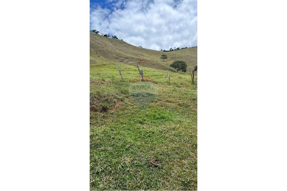 Chácara / Sítio / Fazenda - Venda - Lima Duarte , Minas Gerais - WhatsApp Image 2025-03-31 at 08.26.08.jpeg - 860291033-87