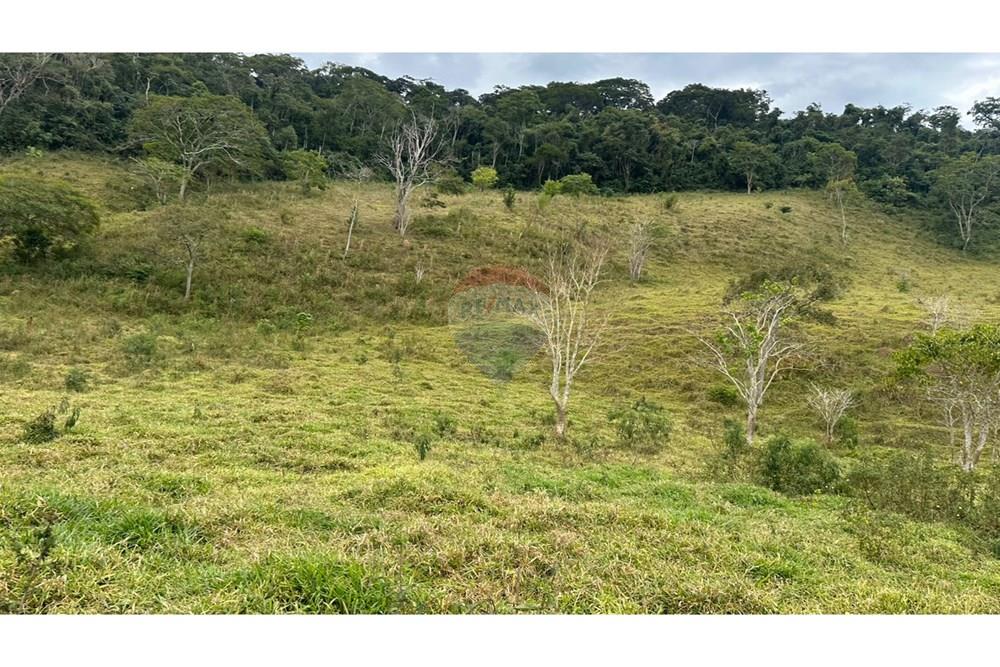 Chácara / Sítio / Fazenda - Venda - Lamim , Minas Gerais - WhatsApp Image 2025-09-05 at 10.36.58 (7).jpeg - 860291033-115