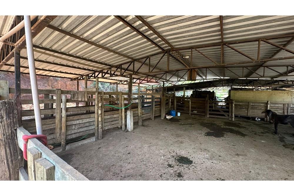 Chácara / Sítio / Fazenda - Venda - Juiz de Fora , Minas Gerais - e0b38bee-610c-423e-b7a6-d9b8096102d4.JPG - 860291033-68