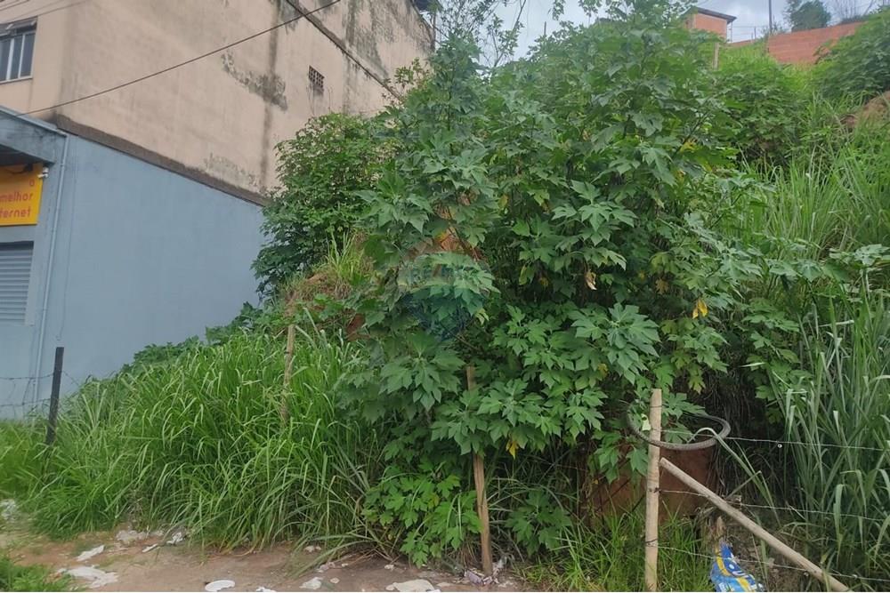 Terreno - Venda - Juiz de Fora , Minas Gerais - WhatsApp Image 2024-11-19 at 18.17.45 (1).jpeg - 860301018-291