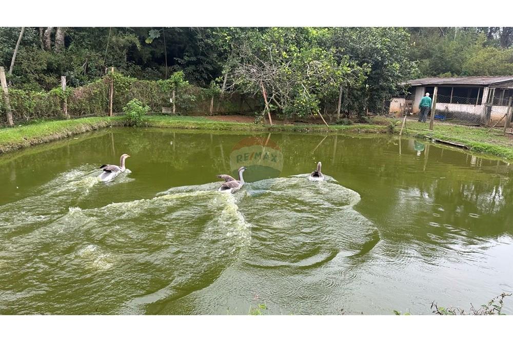 Chácara / Sítio / Fazenda - Venda - Rio Novo , Minas Gerais - RIO NOVO (28).JPG - 860291033-98