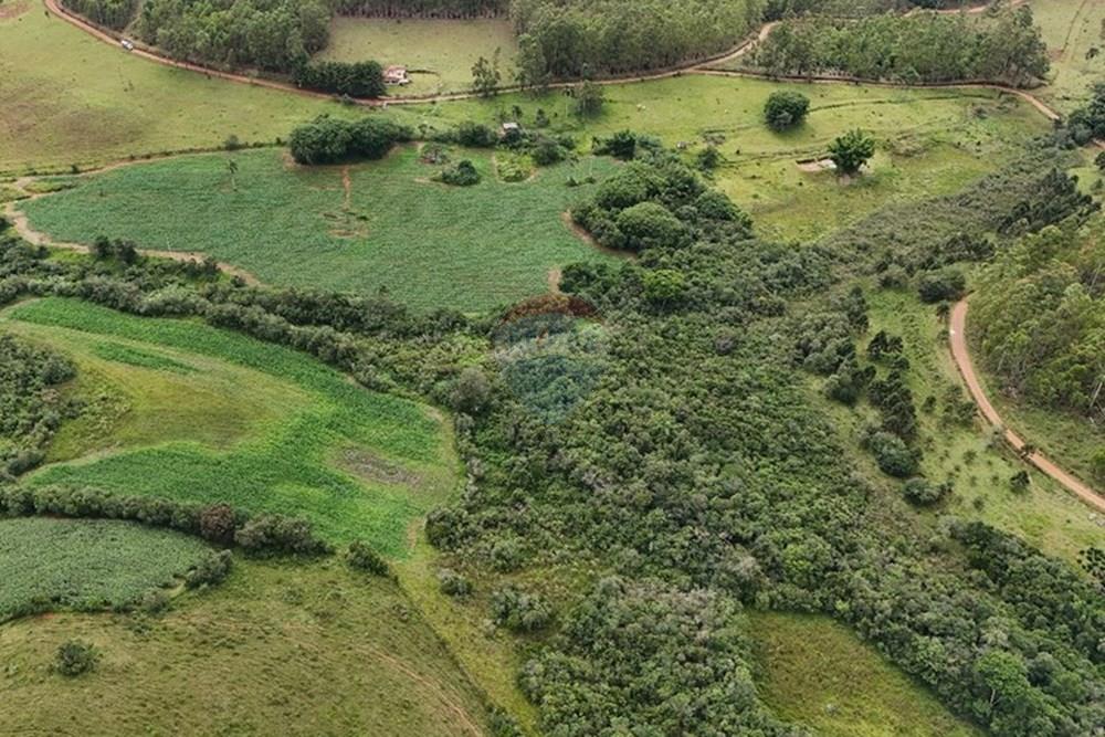Terreno - Venda - Liberdade , Minas Gerais - sitio giffa13.jpg - 860271009-18