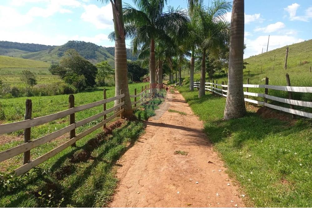 Chácara / Sítio / Fazenda - Venda - Lima Duarte , Minas Gerais - WhatsApp Image 2025-03-01 at 10.18.07.jpeg - 860291033-79