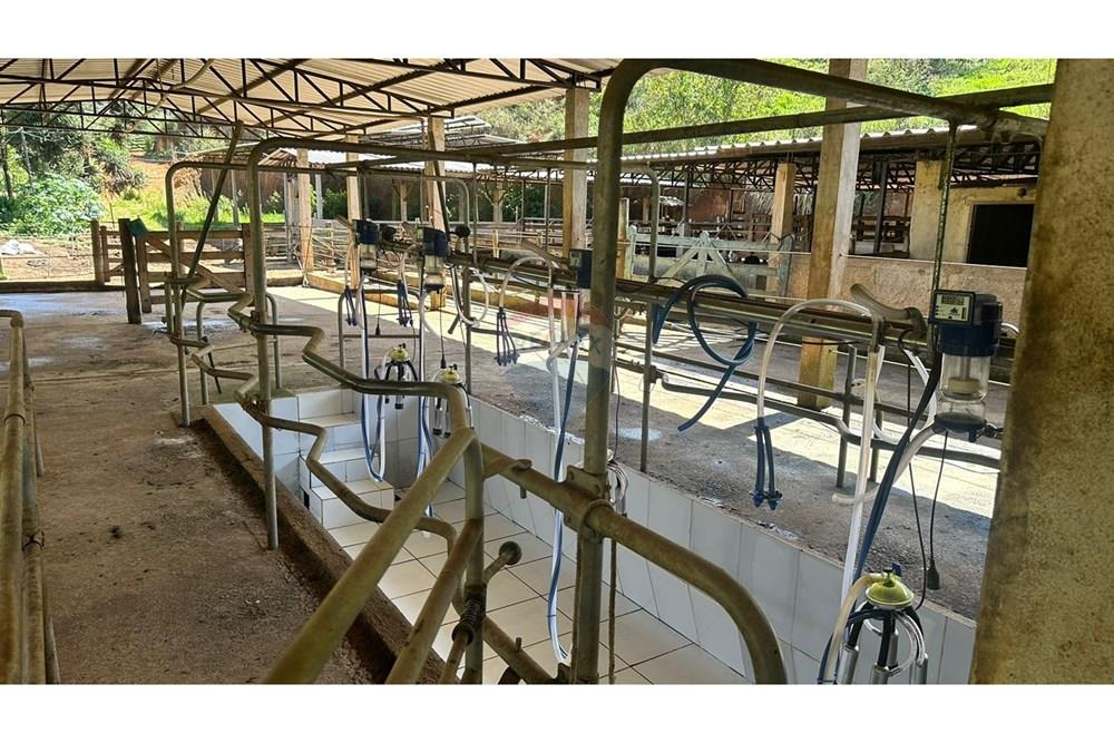 Chácara / Sítio / Fazenda - Venda - Juiz de Fora , Minas Gerais - 4a3814ba-f215-4b77-9e67-d927222b78ba.JPG - 860291033-68