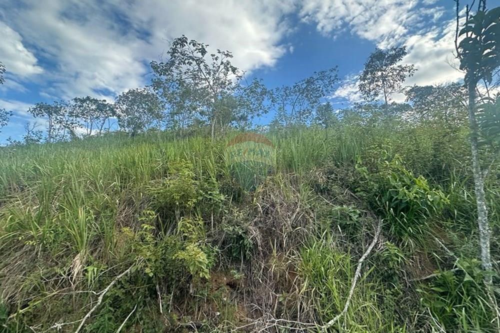 Terreno - Venda - Juiz de Fora , Minas Gerais - FOTO 21.JPG - 860291033-90