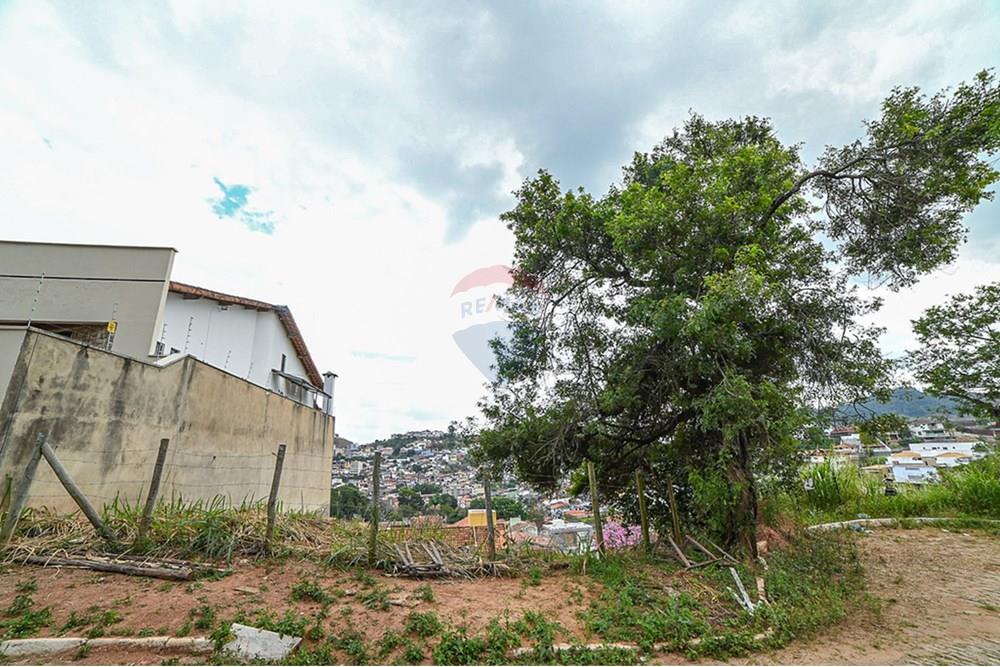 Terreno - Venda - Juiz de Fora , Minas Gerais - michaelseed.photo_remax semana 2-133-XL.jpg - 860211024-181