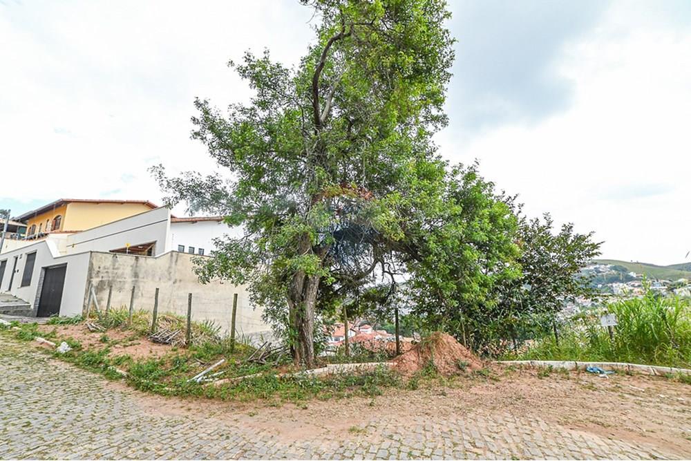Terreno - Venda - Juiz de Fora , Minas Gerais - michaelseed.photo_remax semana 2-141-XL.jpg - 860211024-181