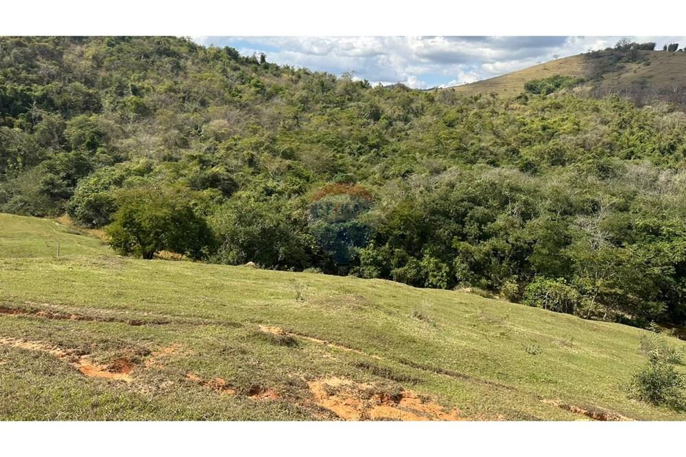 Chácara / Sítio / Fazenda - Venda - Cantagalo , Rio de Janeiro - 6cce90f4-a26f-40f0-ba49-db3da4cec4aa.JPG - 860291041-3