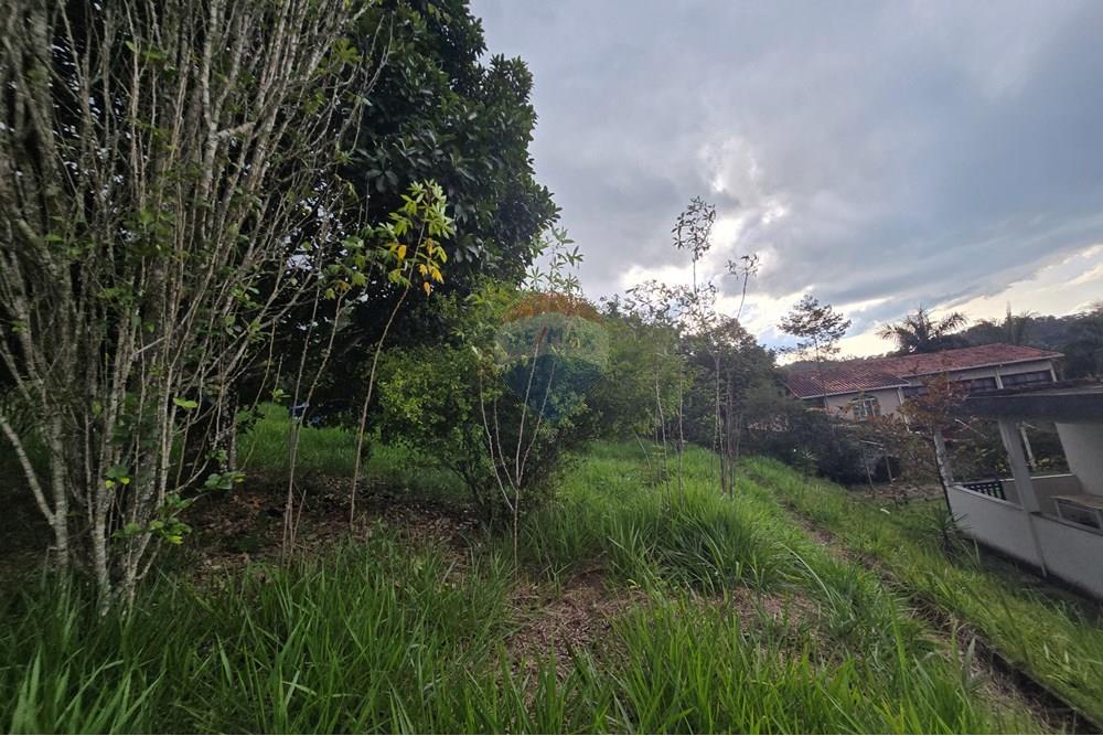 Chácara / Sítio / Fazenda - Venda - Juiz de Fora , Minas Gerais - 36.jpg - 860231001-221