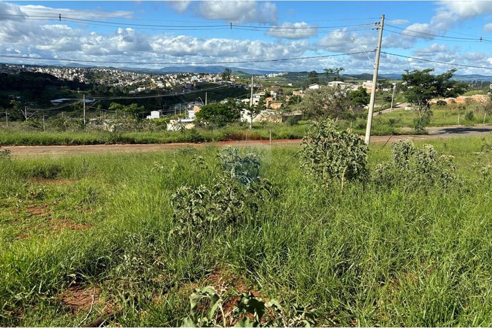 Terreno - Venda - Conselheiro Lafaiete , Minas Gerais - WhatsApp Image 2025-01-17 at 12.08.59 (4).jpeg - 860421002-446