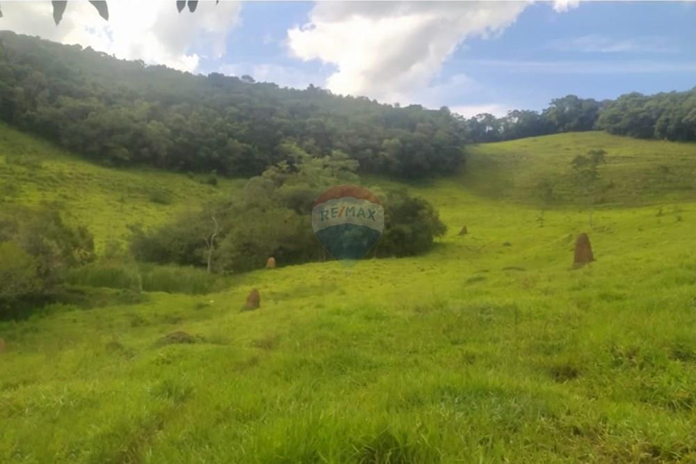 Chácara / Sítio / Fazenda - Venda - Queluzito , Minas Gerais - WhatsApp Image 2025-01-08 at 06.40.39 (1).jpeg - 860421002-442