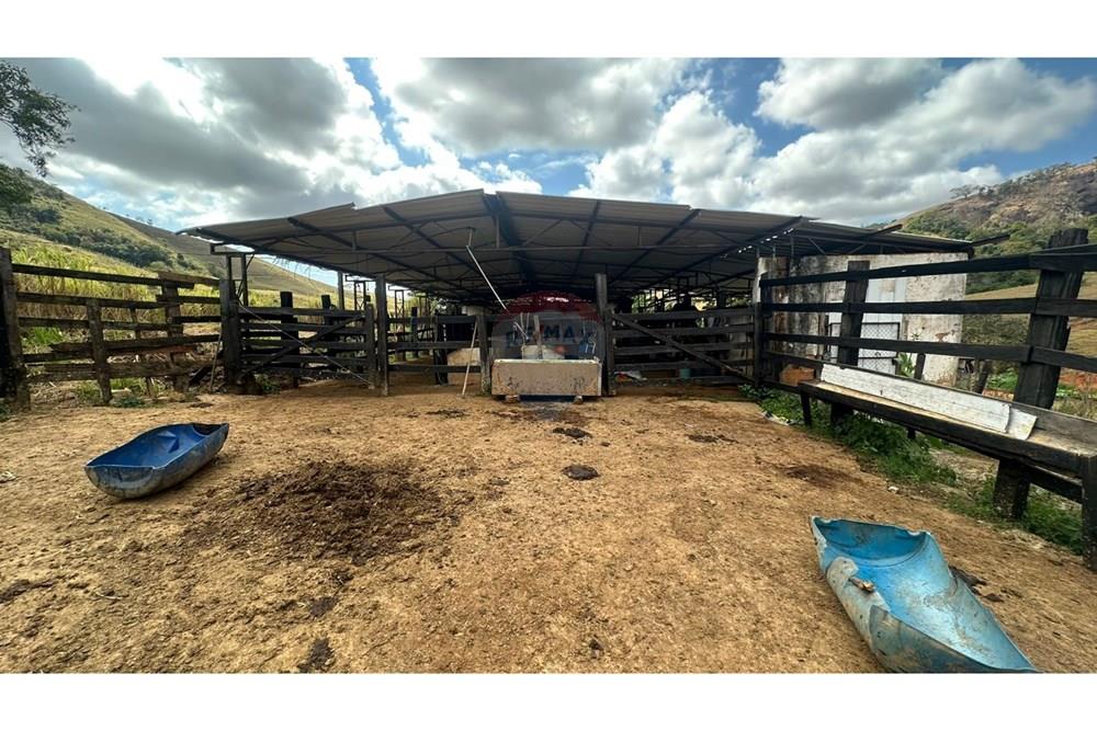 Chácara / Sítio / Fazenda - Venda - Leopoldina , Minas Gerais - WhatsApp Image 2025-09-22 at 10.32.47 (2).jpeg - 860291033-118