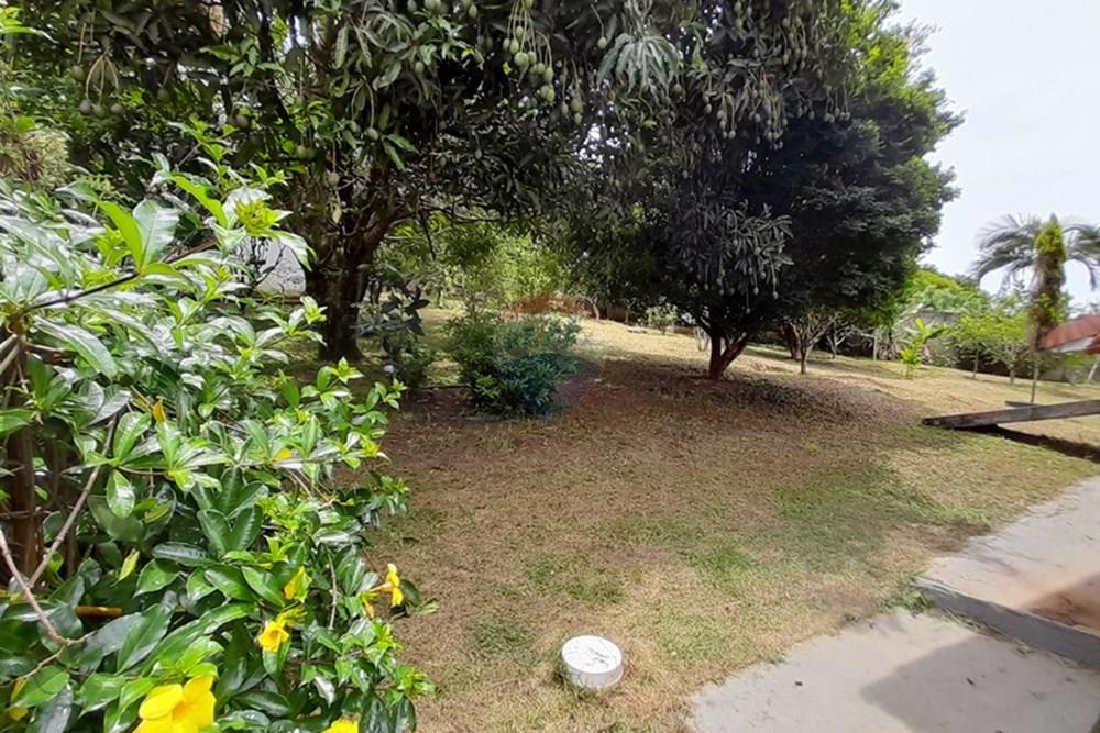Chácara / Sítio / Fazenda - Venda - Juiz de Fora , Minas Gerais - 52.jpg - Quintal - 860231042-10