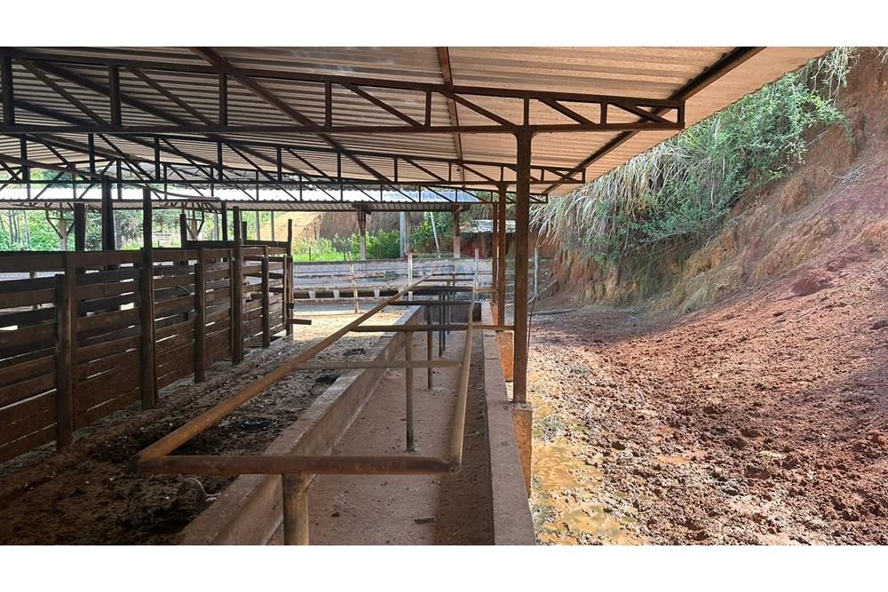 Chácara / Sítio / Fazenda - Venda - Juiz de Fora , Minas Gerais - a2698a32-9920-4be9-bcfc-e47ff1f827b0.JPG - 860291033-68