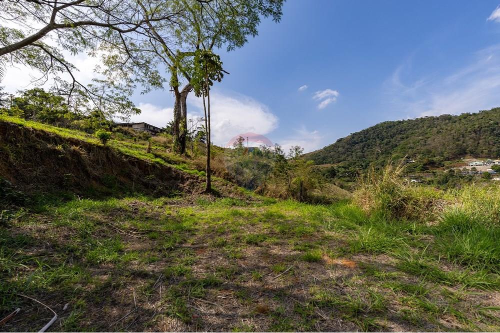 Terreno - Venda - Matias Barbosa , Minas Gerais - Campana-13.jpg - 860281009-136